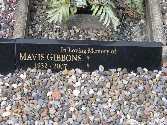 Gibbons0252