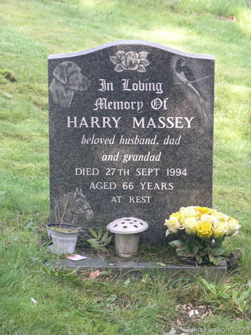 Massey0015