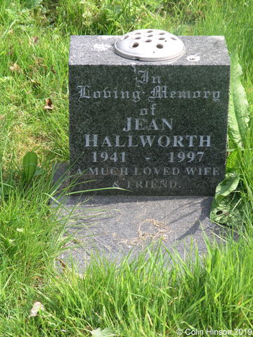 Hallworth0516