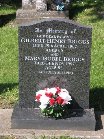 Briggs0259